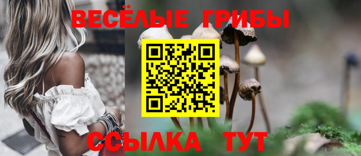 Галлюциногенные грибы MAGIC MUSHROOMS Радужный